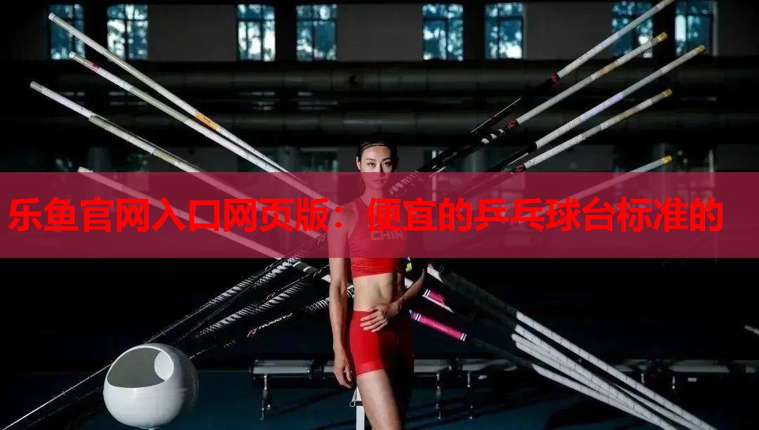 便宜的乒乓球台标准的 便宜的乒乓球台标准的