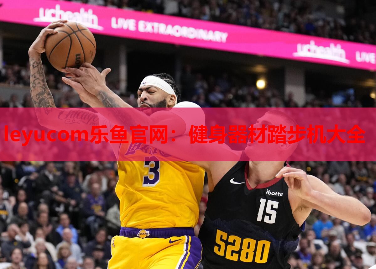 健身器材踏步机大全