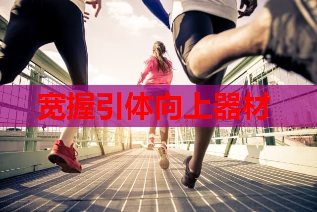 宽握引体向上器材 宽握引体向上器材