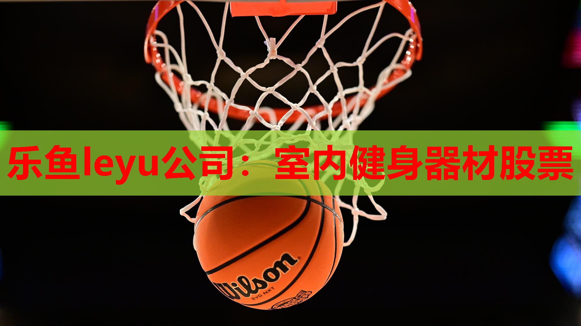 室内健身器材股票
