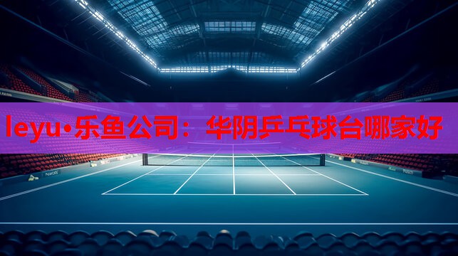 华阴乒乓球台哪家好