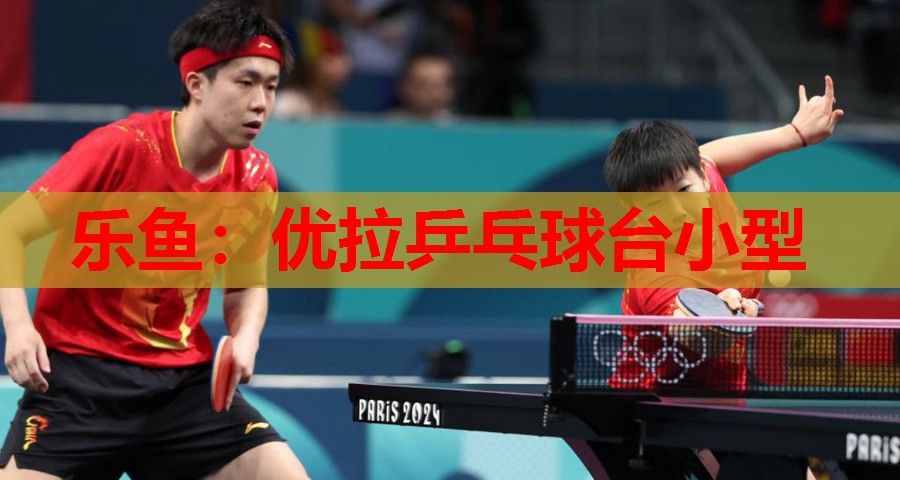 优拉乒乓球台小型