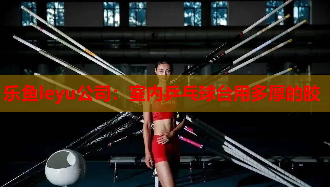 室内乒乓球台用多厚的胶 室内乒乓球台用多厚的胶