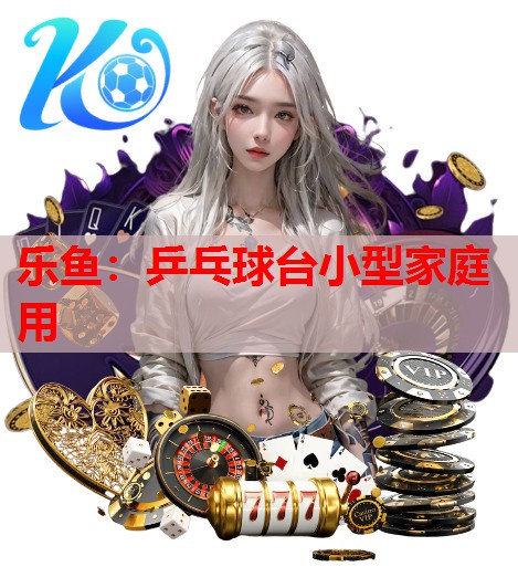 乒乓球台小型家庭用 乒乓球台小型家庭用