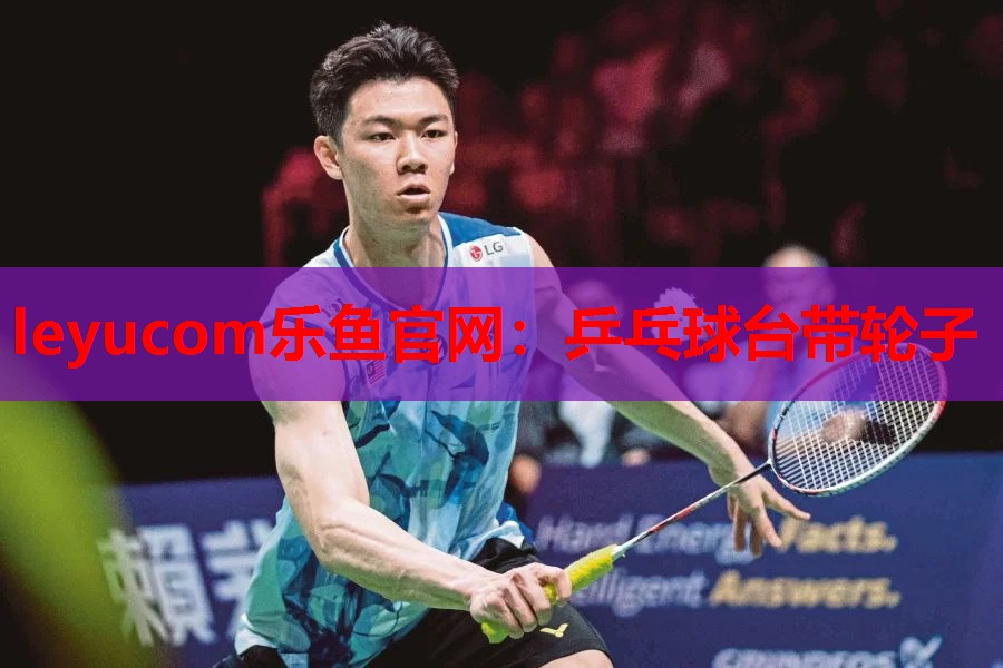 乒乓球台带轮子 乒乓球台带轮子