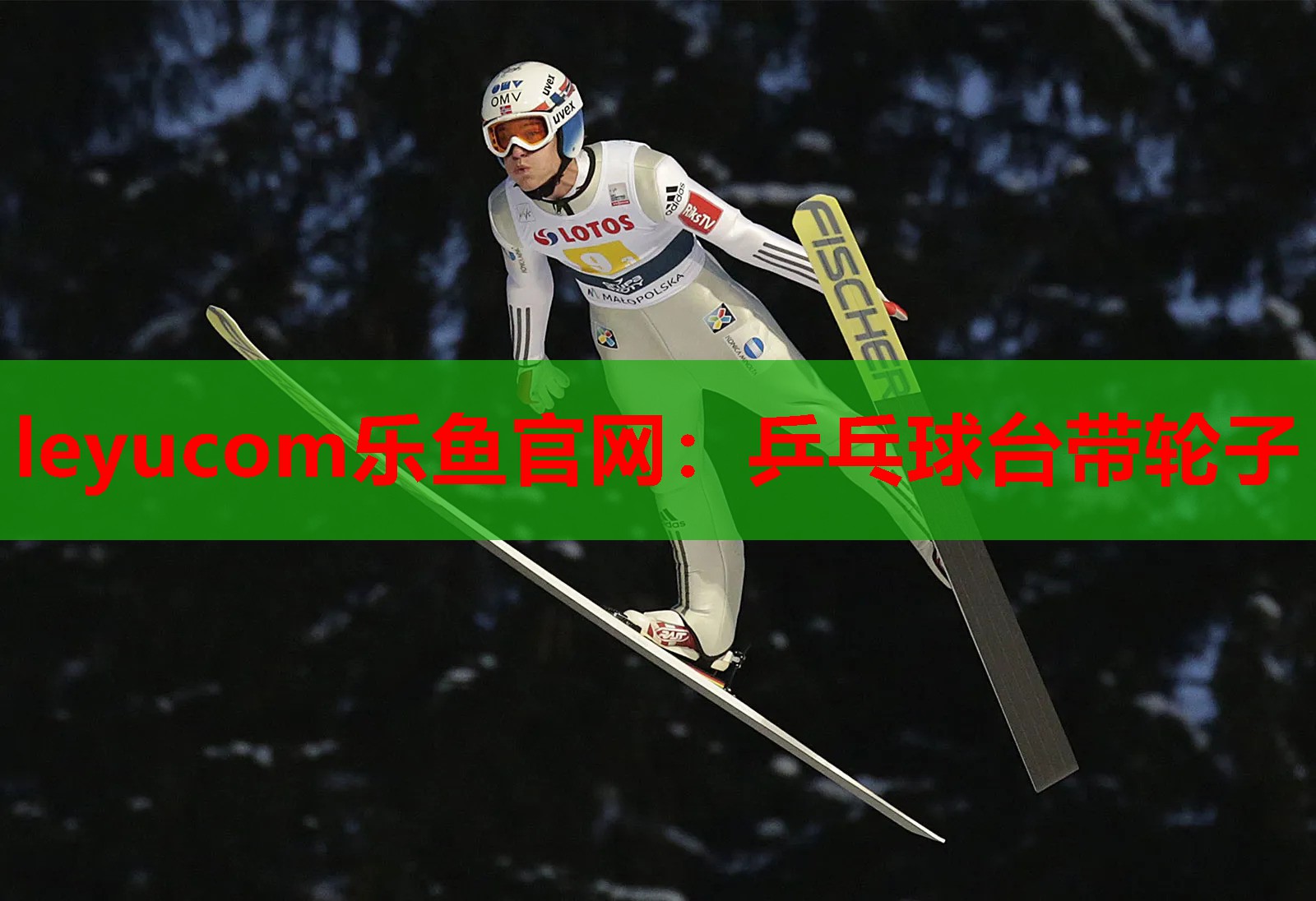 乒乓球台带轮子 乒乓球台带轮子