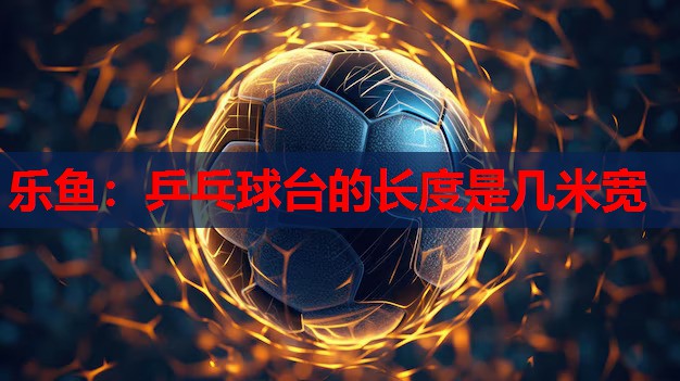 乒乓球台的长度是几米宽