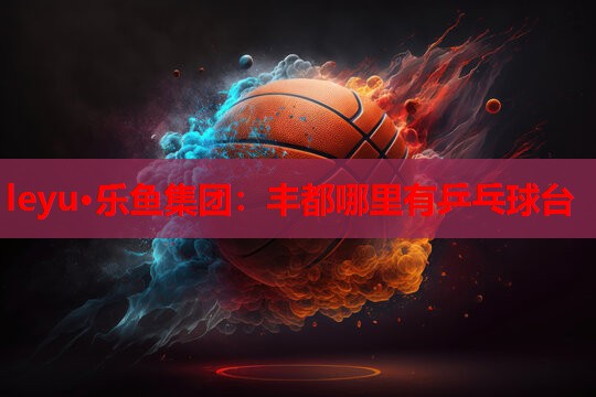 丰都哪里有乒乓球台 丰都哪里有乒乓球台