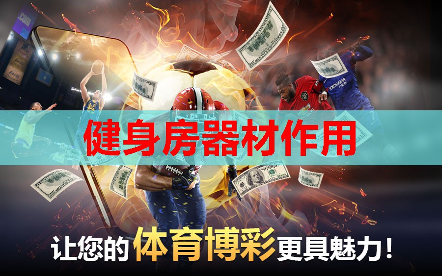 健身房器材作用 健身房器材作用