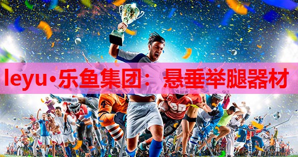 悬垂举腿器材 悬垂举腿器材
