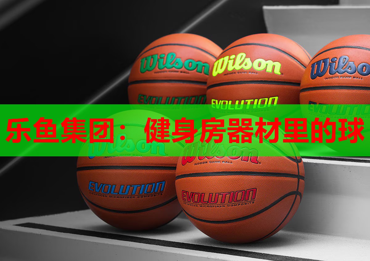 健身房器材里的球 健身房器材里的球