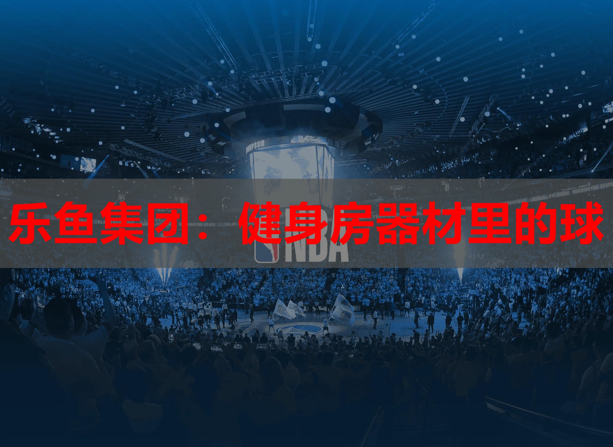 健身房器材里的球 健身房器材里的球