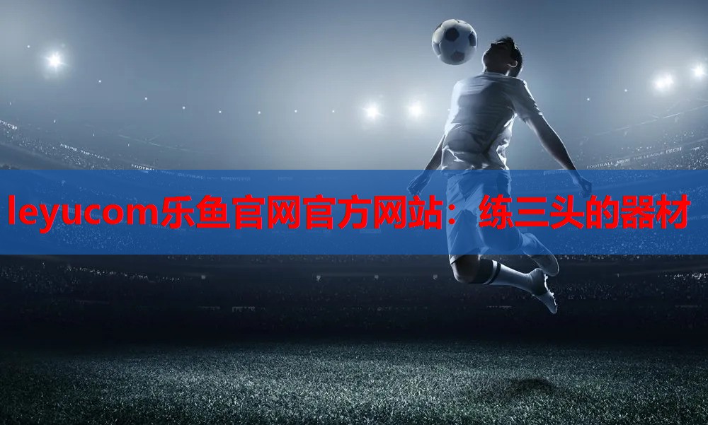 练三头的器材 练三头的器材