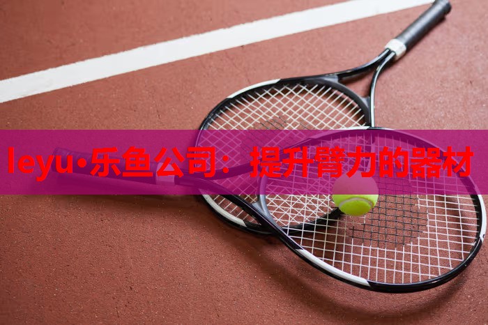 提升臂力的器材 提升臂力的器材