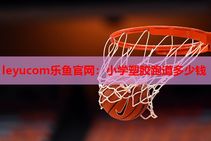 小学塑胶跑道多少钱 小学塑胶跑道多少钱