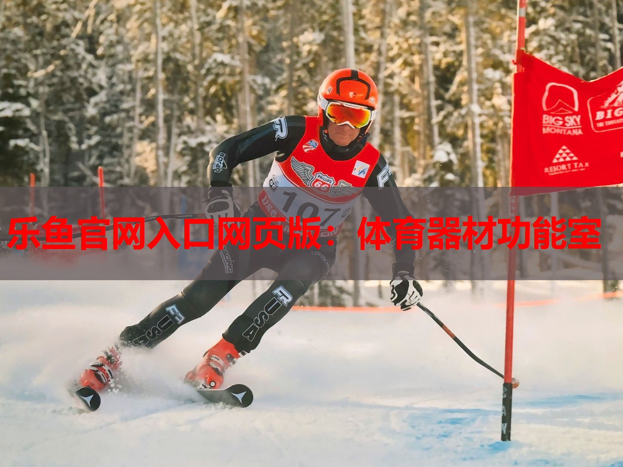 体育器材功能室 体育器材功能室