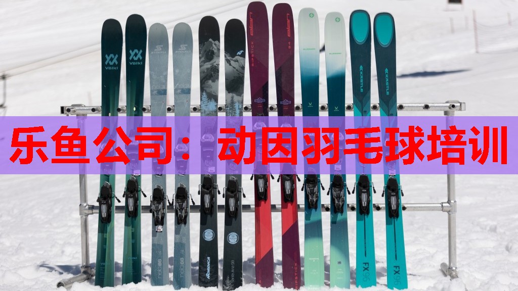 动因羽毛球培训 动因羽毛球培训