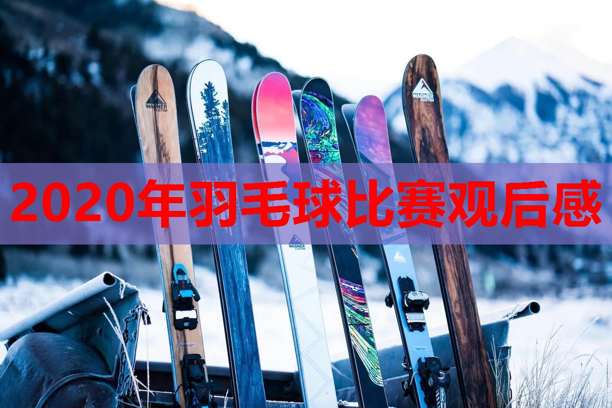 2020年羽毛球比赛观后感 2020年羽毛球比赛观后感