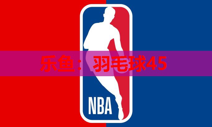 羽毛球45 羽毛球45