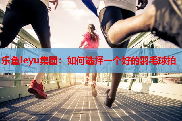 如何选择一个好的羽毛球拍 如何选择一个好的羽毛球拍