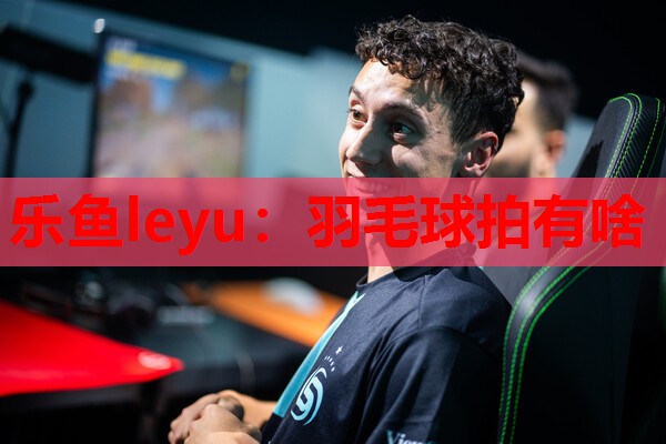 羽毛球拍有啥 羽毛球拍有啥