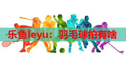 羽毛球拍有啥 羽毛球拍有啥