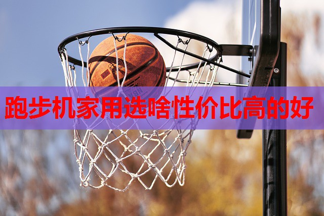 跑步机家用选啥性价比高的好 跑步机家用选啥性价比高的好