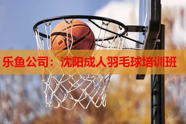 沈阳成人羽毛球培训班 沈阳成人羽毛球培训班
