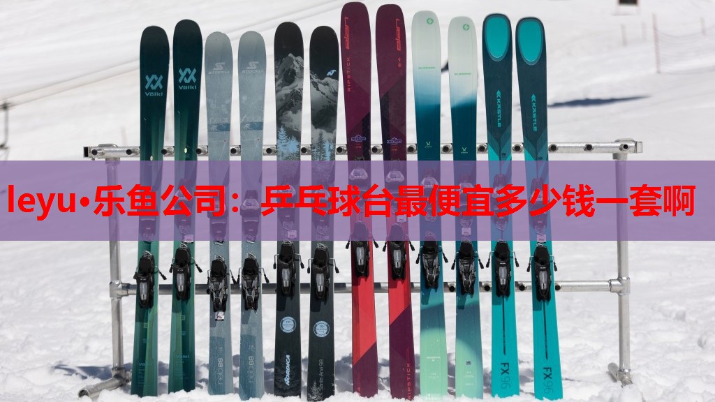 乒乓球台最便宜多少钱一套啊 乒乓球台最便宜多少钱一套啊