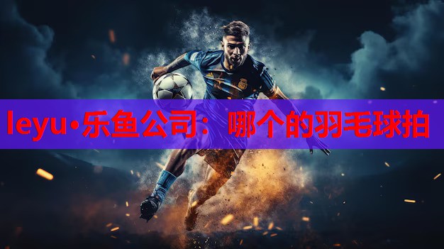 哪个的羽毛球拍 哪个的羽毛球拍