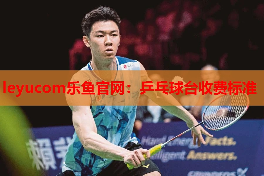 乒乓球台收费标准 乒乓球台收费标准