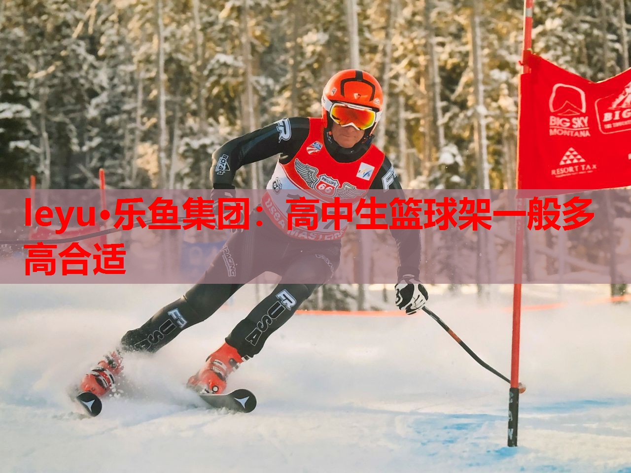 高中生篮球架一般多高合适 高中生篮球架一般多高合适