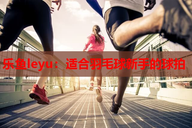 适合羽毛球新手的球拍 适合羽毛球新手的球拍