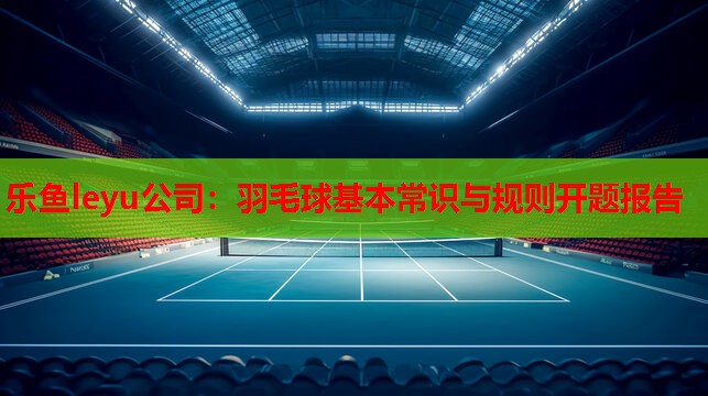 羽毛球基本常识与规则开题报告 羽毛球基本常识与规则开题报告