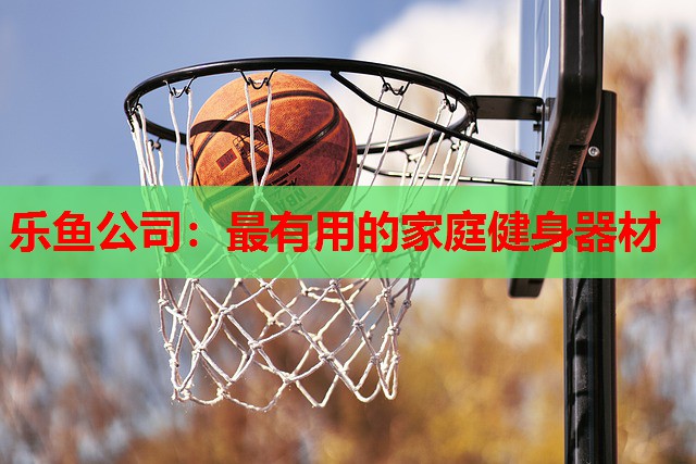 最有用的家庭健身器材 最有用的家庭健身器材