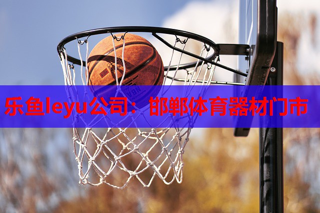 邯郸体育器材门市 邯郸体育器材门市