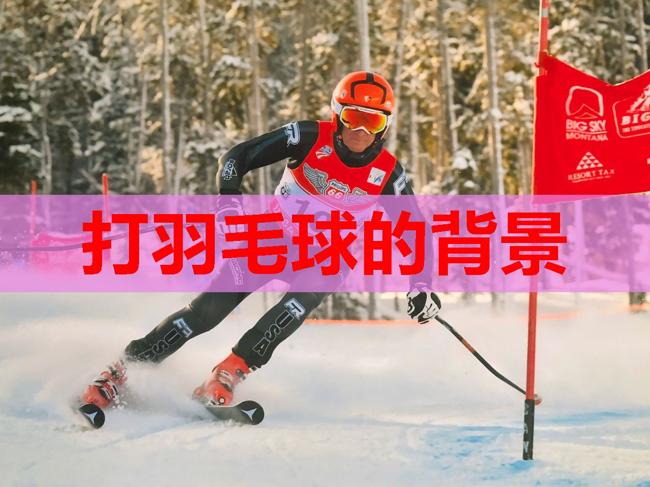 打羽毛球的背景 打羽毛球的背景