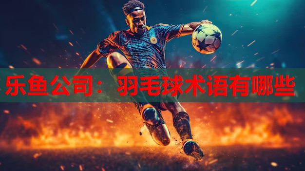 羽毛球术语有哪些 羽毛球术语有哪些