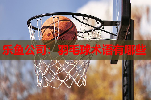 羽毛球术语有哪些 羽毛球术语有哪些