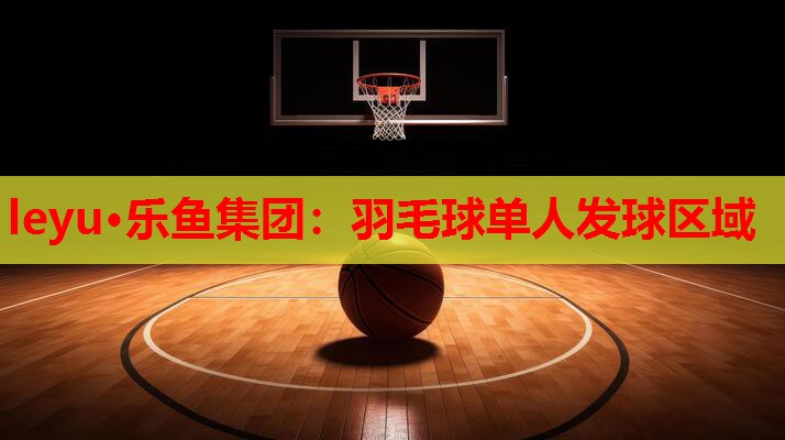 羽毛球单人发球区域 羽毛球单人发球区域