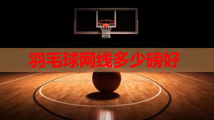 羽毛球网线多少磅好 羽毛球网线多少磅好