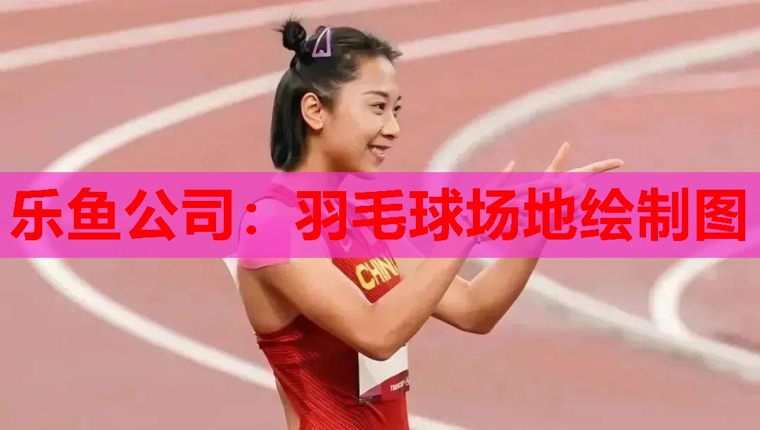 羽毛球场地绘制图 羽毛球场地绘制图