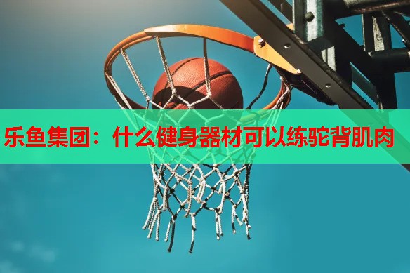 什么健身器材可以练驼背肌肉 什么健身器材可以练驼背肌肉