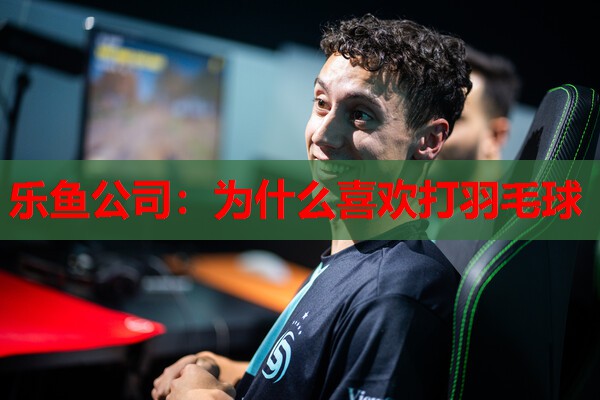 为什么喜欢打羽毛球 为什么喜欢打羽毛球
