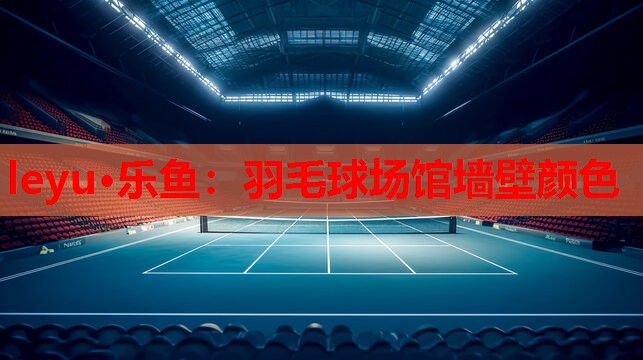 羽毛球场馆墙壁颜色 羽毛球场馆墙壁颜色