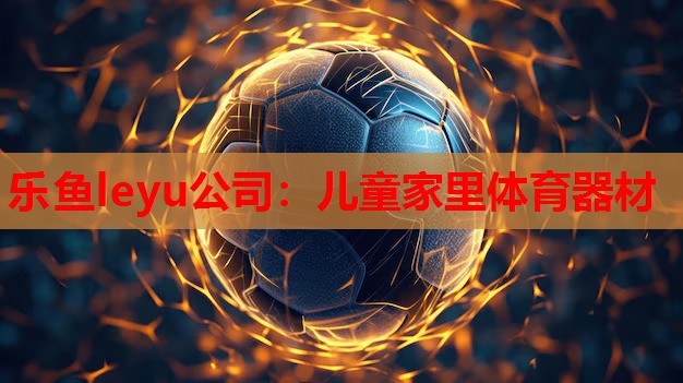 儿童家里体育器材 儿童家里体育器材