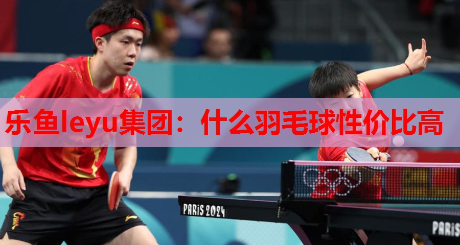什么羽毛球性价比高 什么羽毛球性价比高