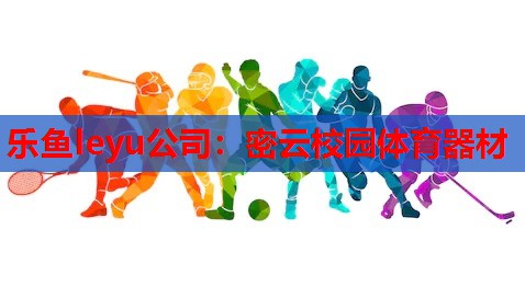密云校园体育器材 密云校园体育器材