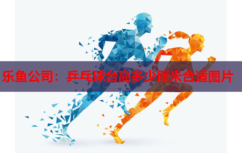 乒乓球台高多少厘米合适图片 乒乓球台高多少厘米合适图片