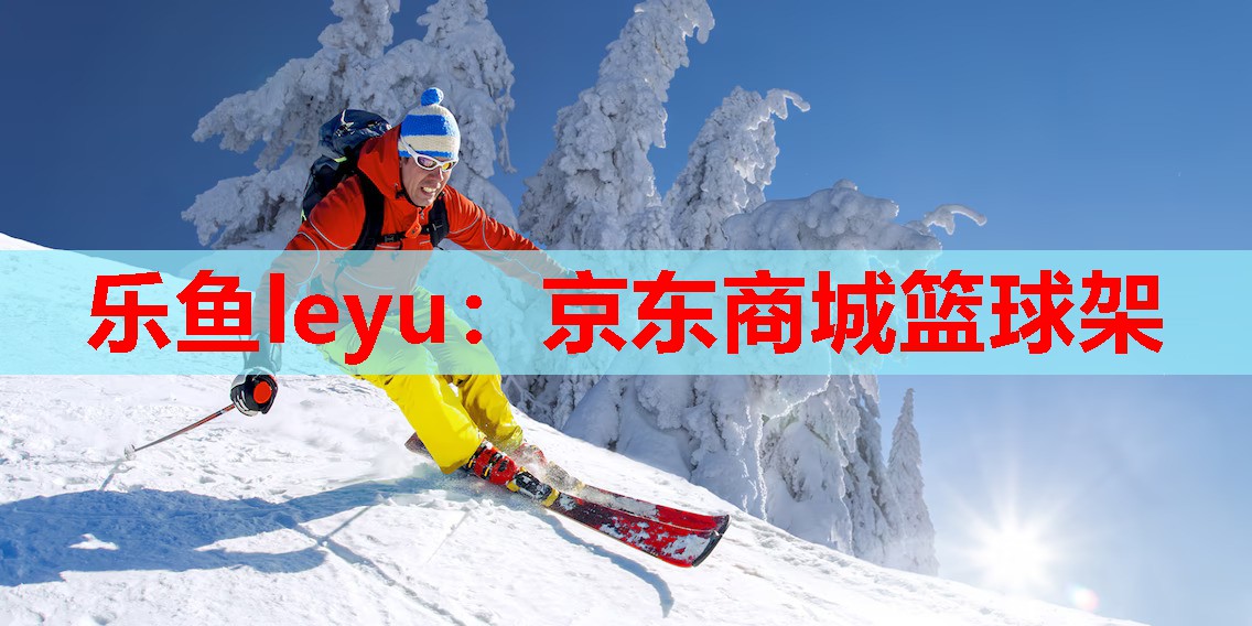 京东商城篮球架 京东商城篮球架